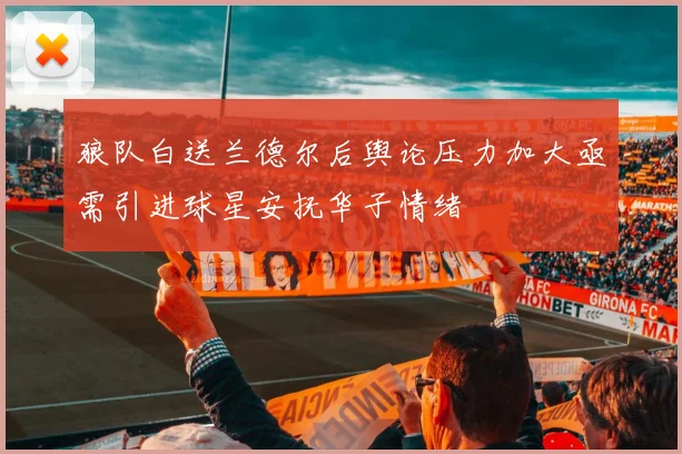 狼队白送兰德尔后舆论压力加大亟需引进球星安抚华子情绪